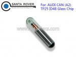 AUDI CAN (A2) TP25 ID48 Glass Transponder Chip