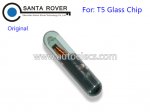 Original Blank T5 Glass Transponder Chip